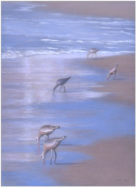 Glistening Shoreline  8 x 6"  oil on panel  2006