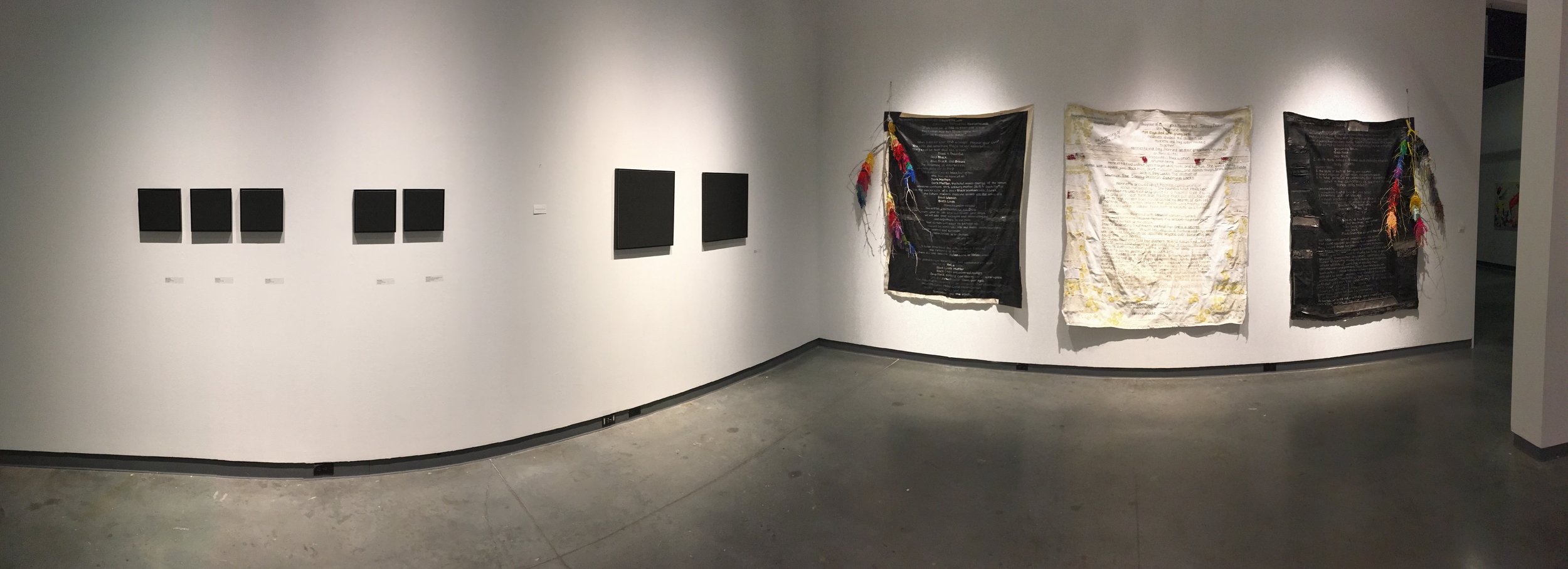  "Spiral, Recoil" @ The Delaware Contemporary, Wilmington, DE - 2017 