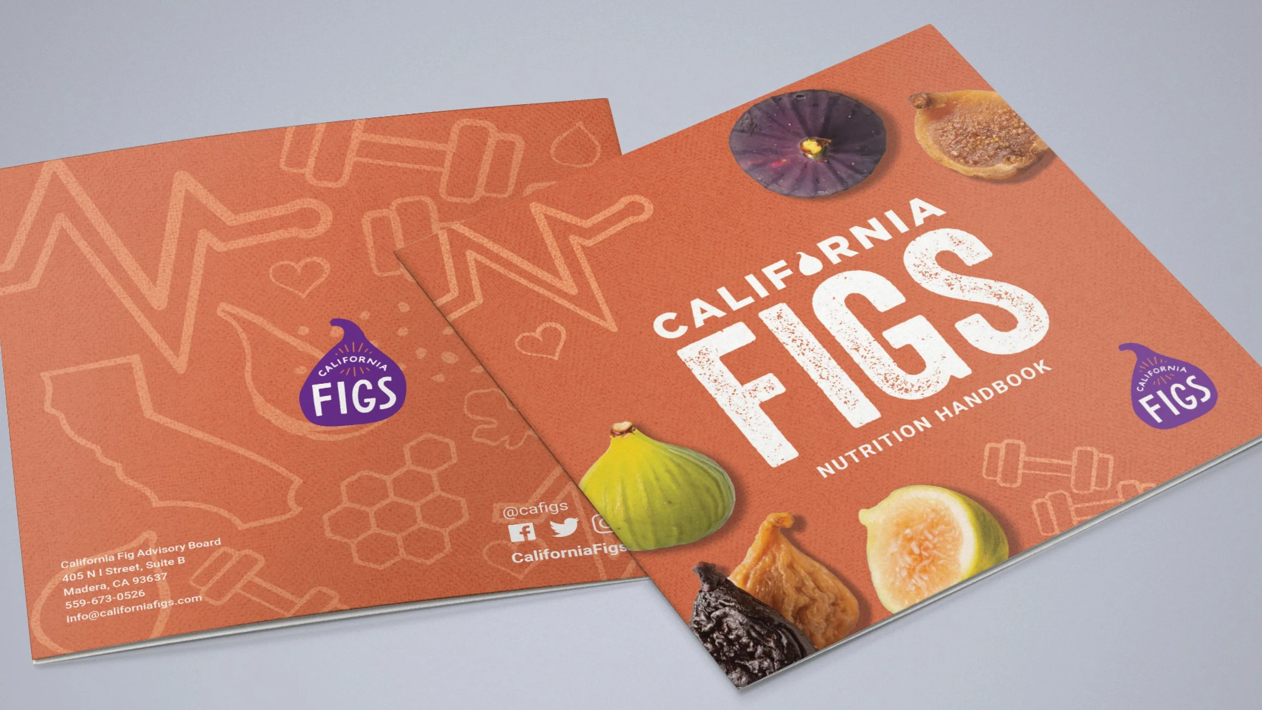 Figs6.jpg
