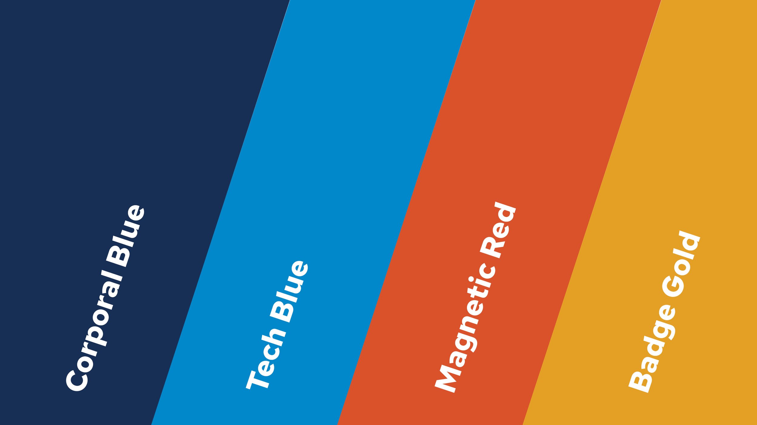 NEW Karap Portfolio 20244.jpg