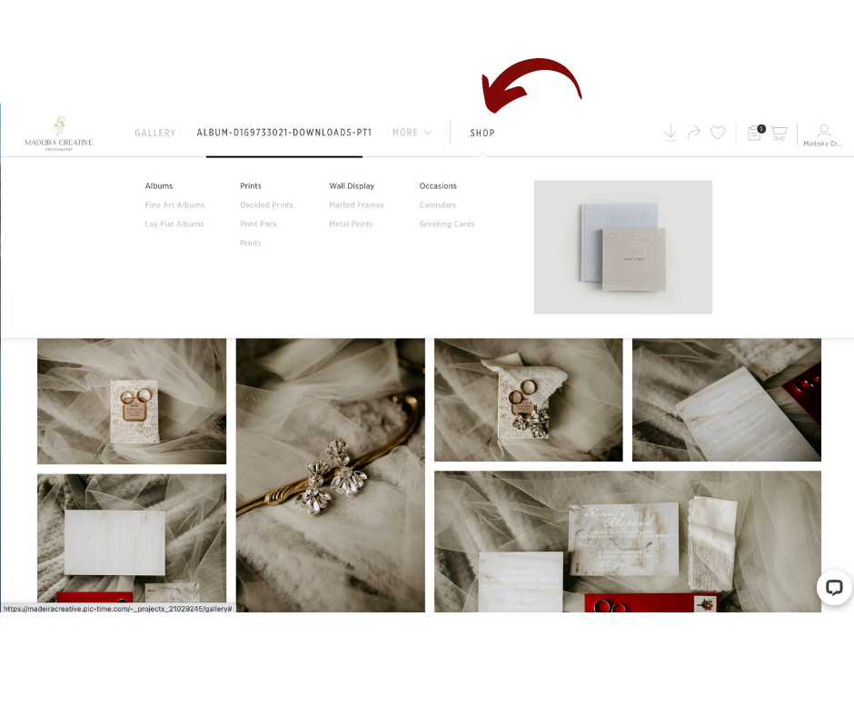 Accessing Your Print Store In Your Gallery — Minnesota + Wisconsin ...