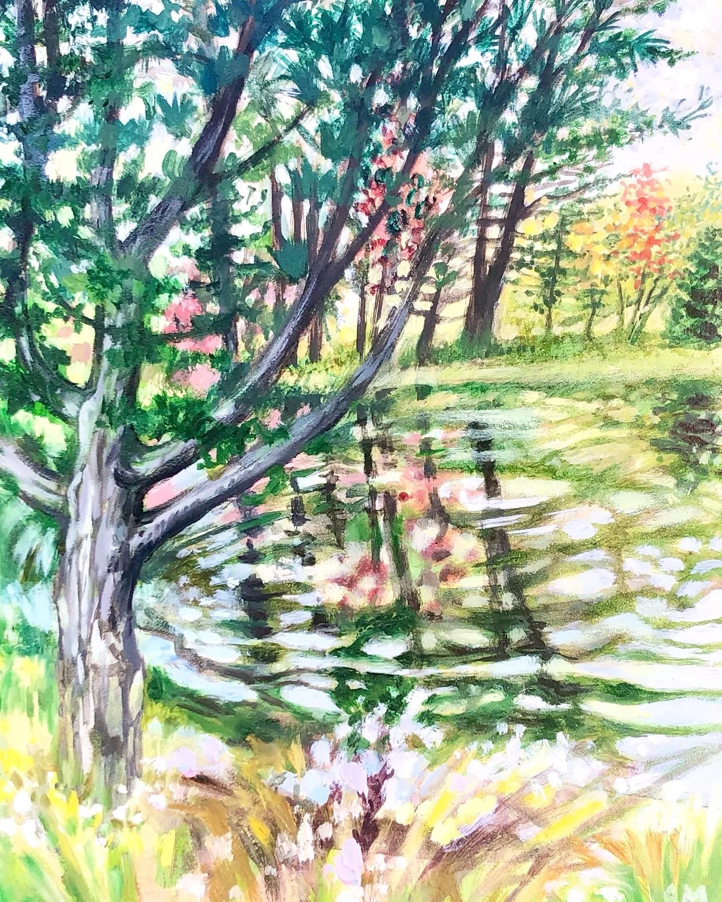 Pond In The Pines