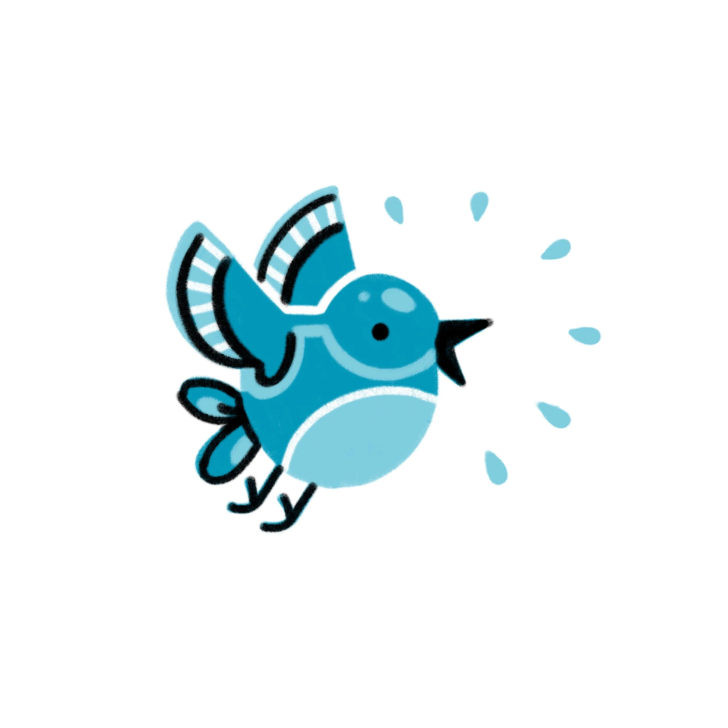Bluebird (1).jpg
