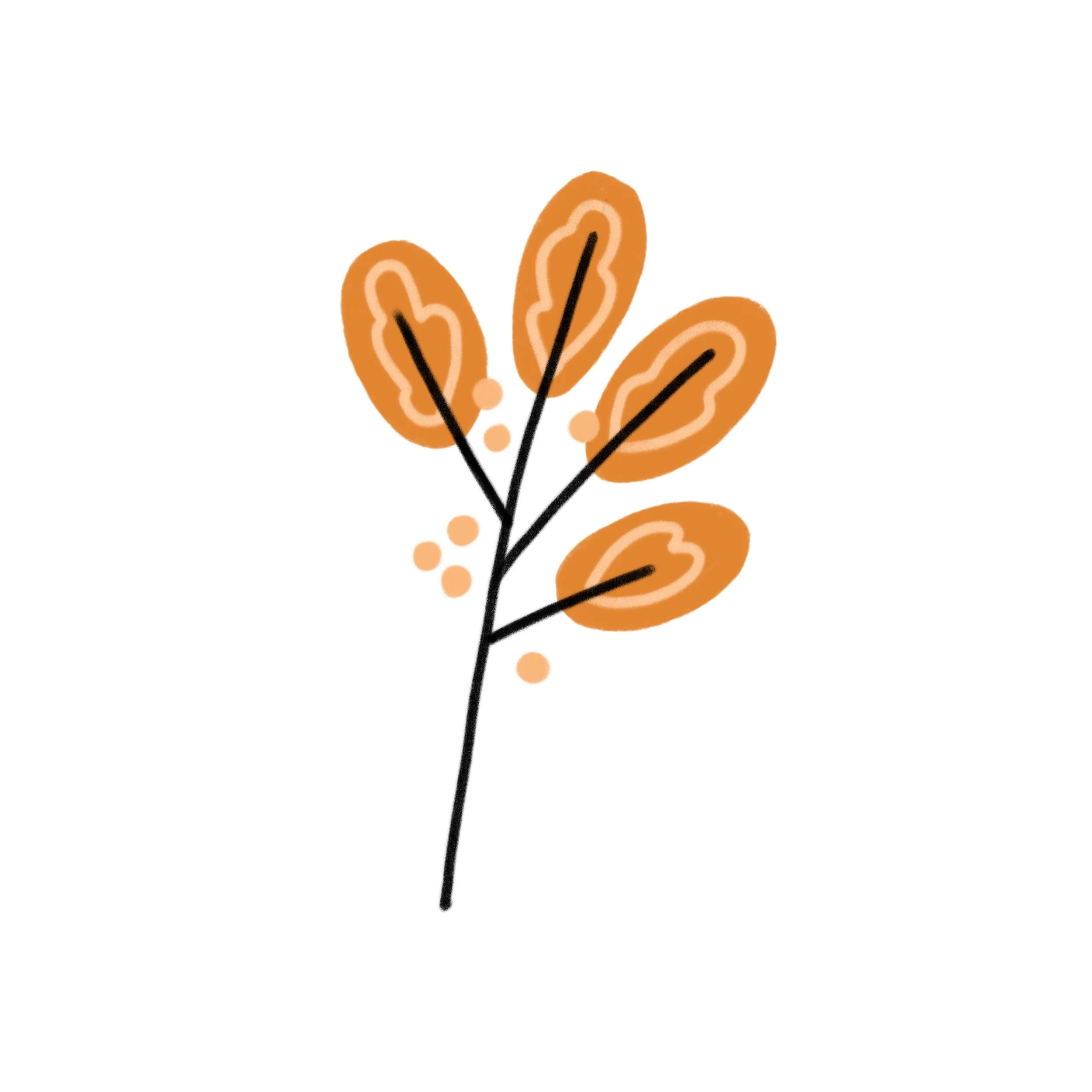 Sprig.jpg