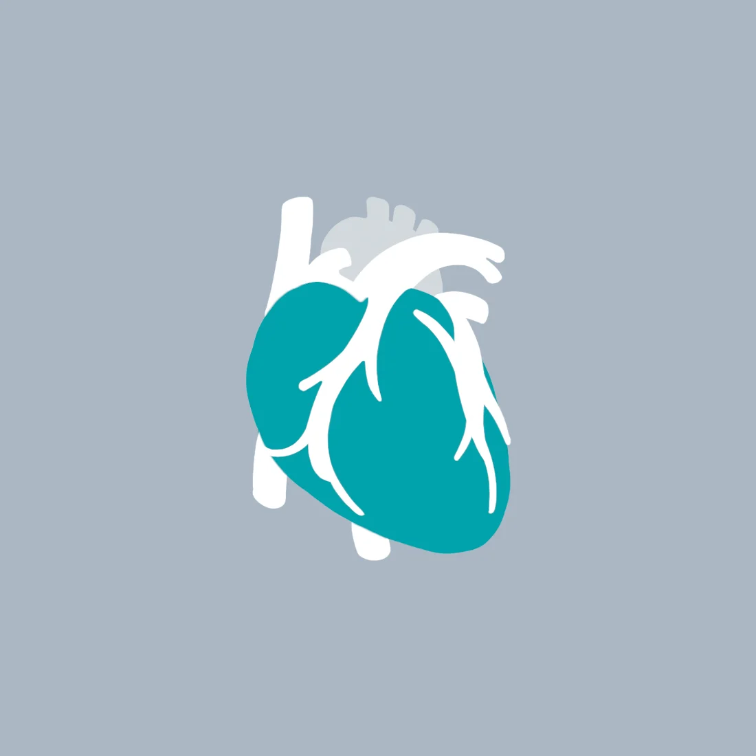 heart.jpg