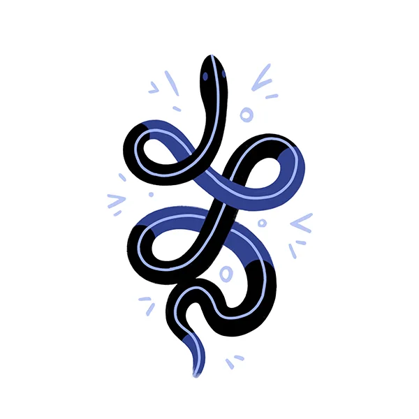 Snake.jpg