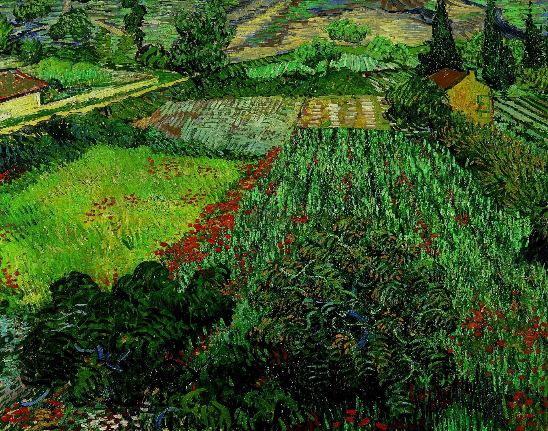 Van Gough Field with poppies 1889
