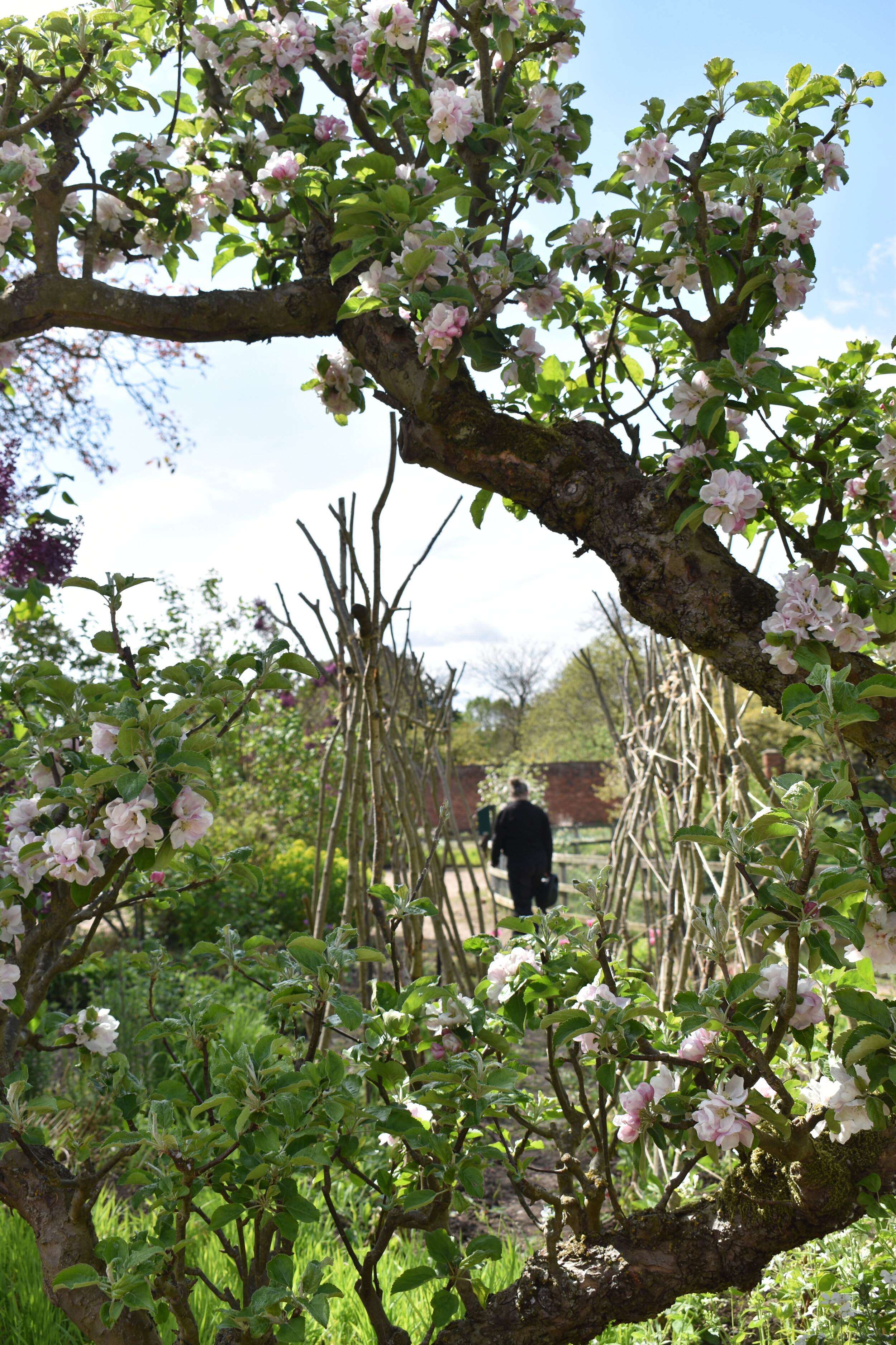 Rachel in the cutting garden. Image courtsey of Guy Petheram Garden Design.JPG