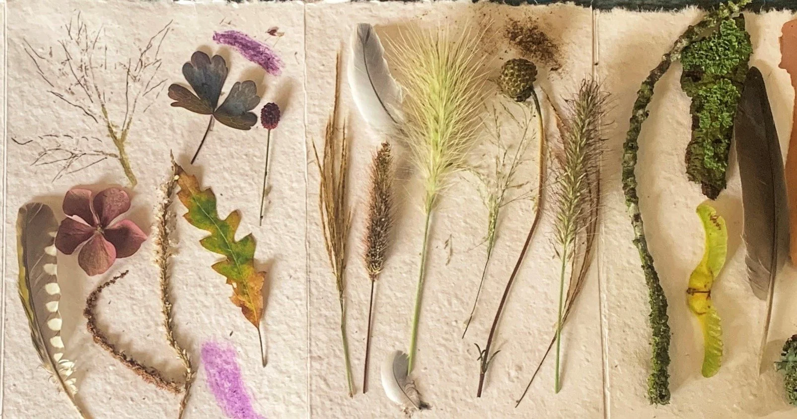 nature connectedness 2a.jpg
