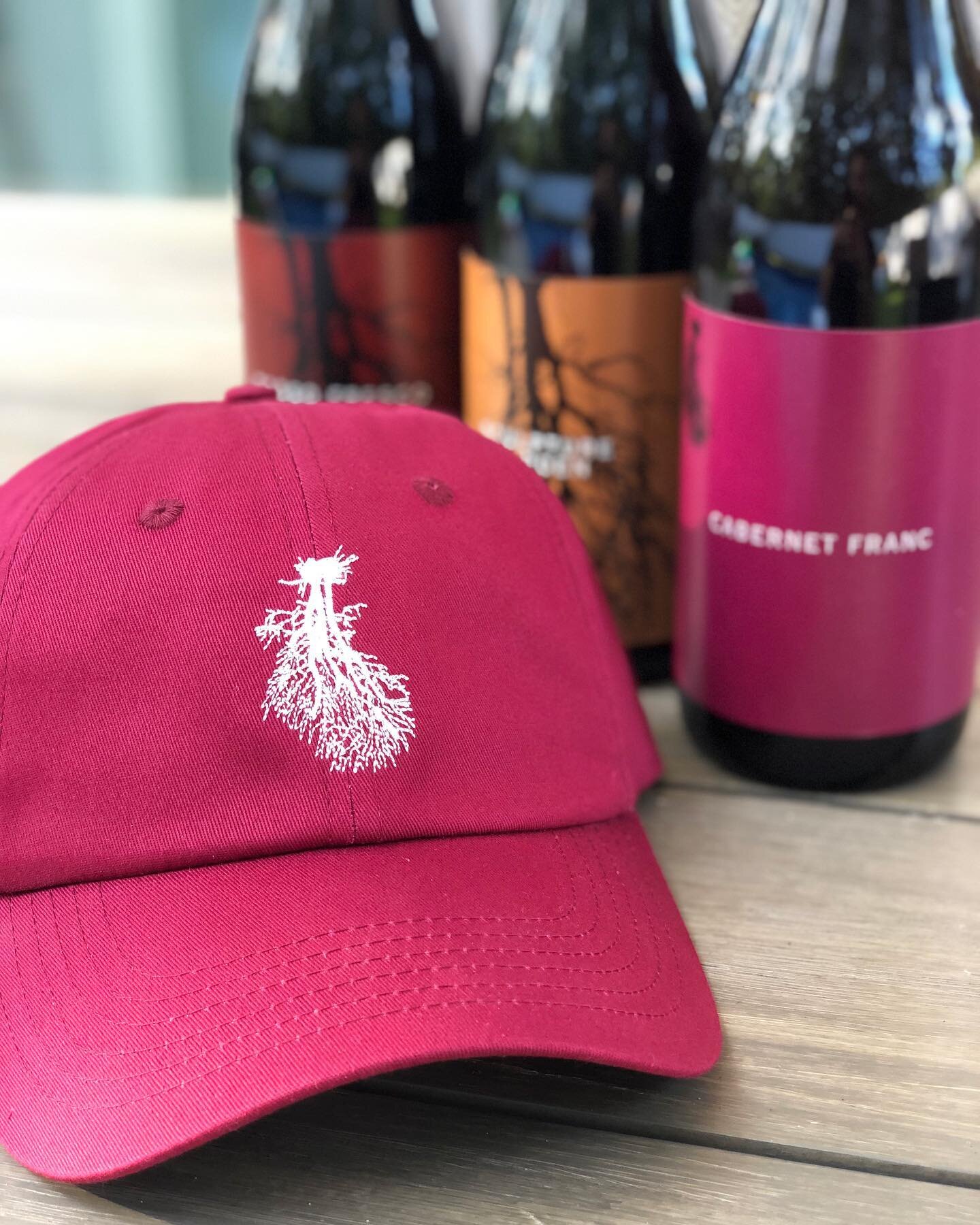 🍷🍷 @cdwwine Cab Franc hat

#channingdaughters #winery #bongiornobrand #hats #headwear #dadhat #wine #bridgehampton #cheers