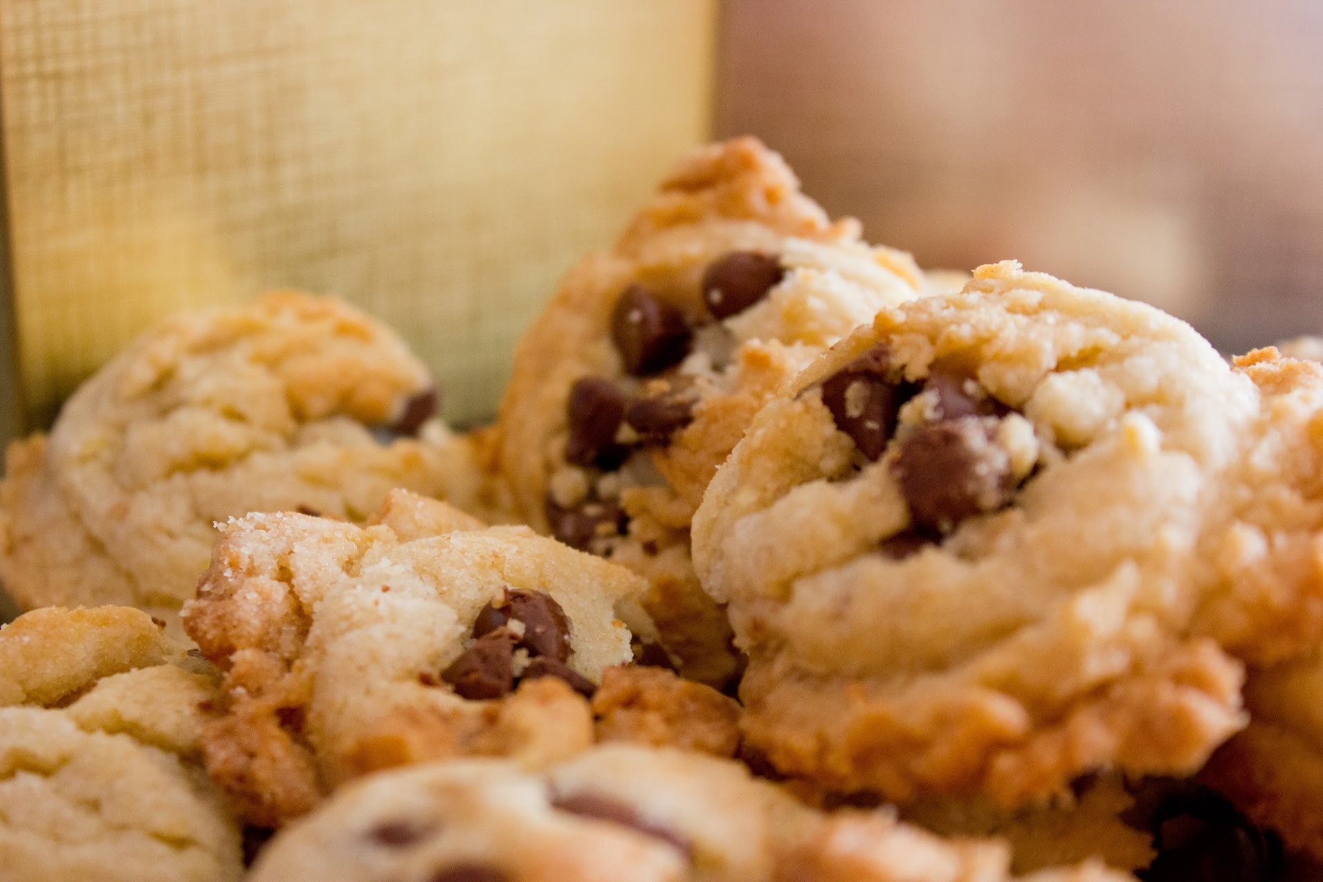 Chocolate Chip