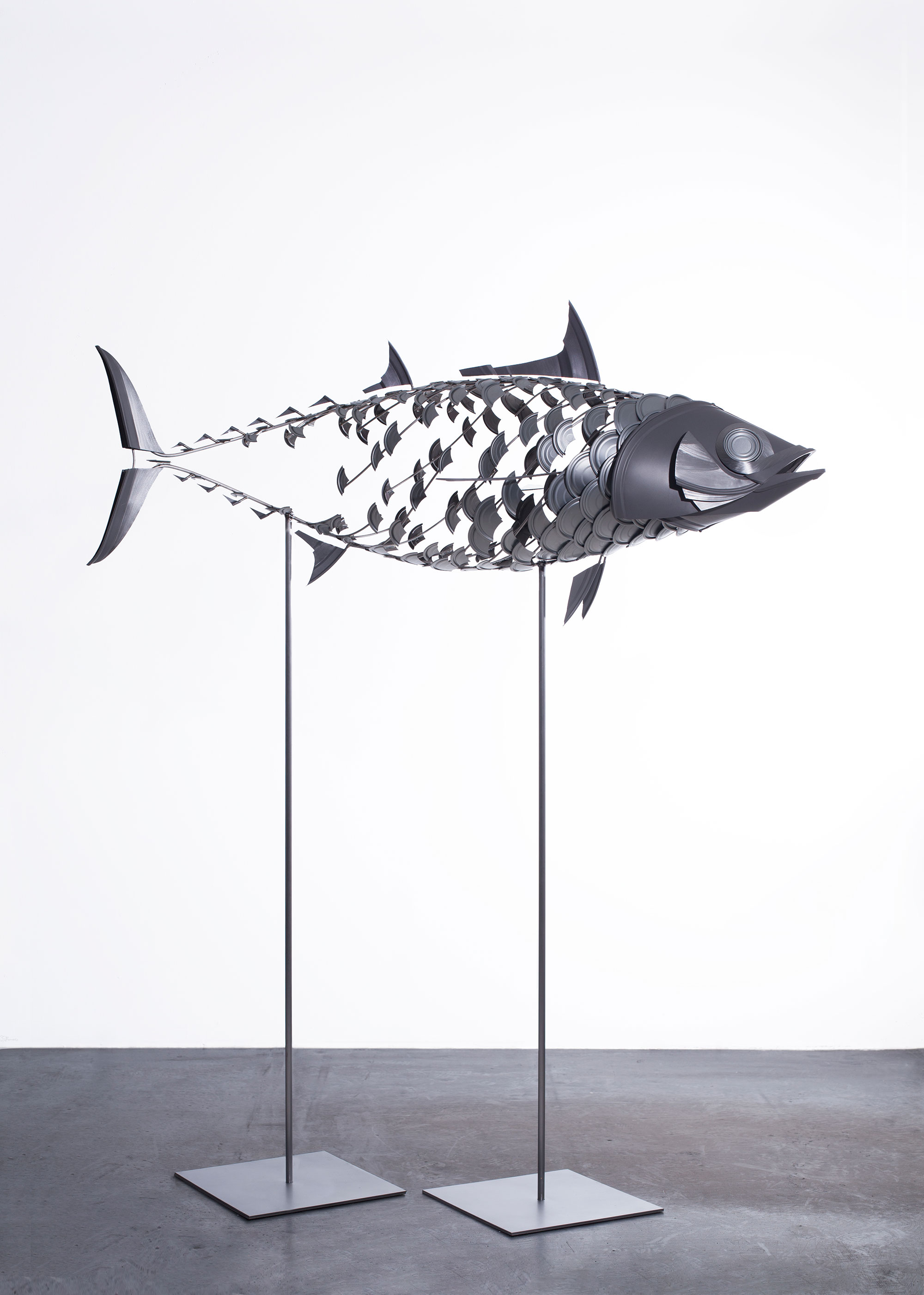 4_ganzerfisch.jpg