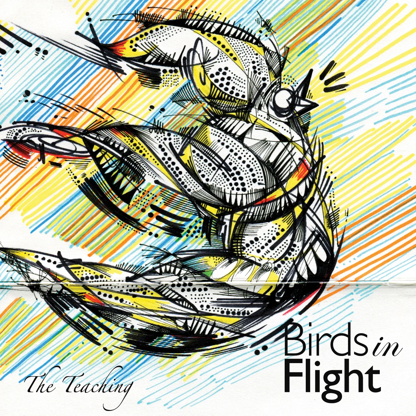 Birds in Flight (Copy)