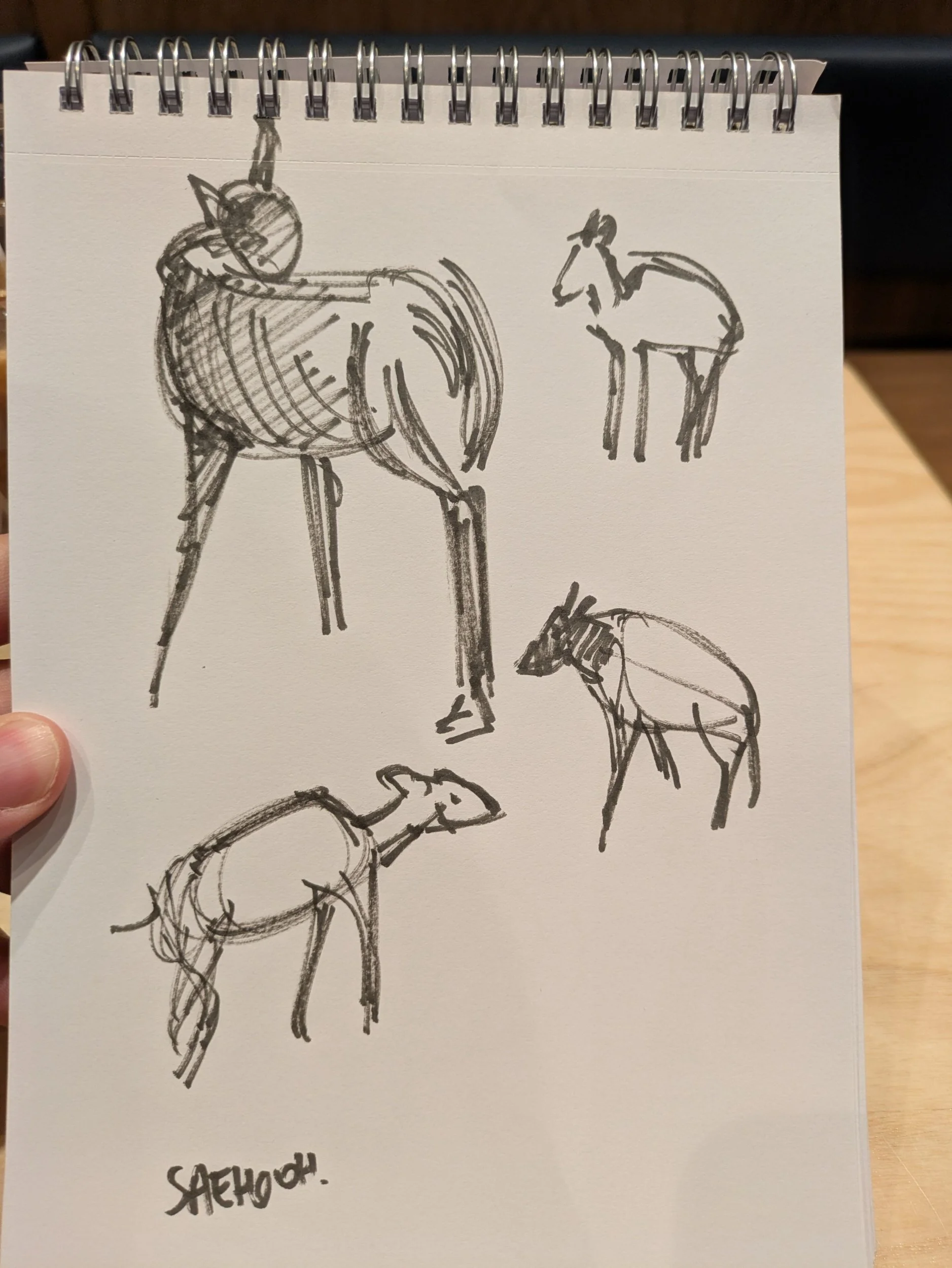 Quick sketches in café 05-April-2026