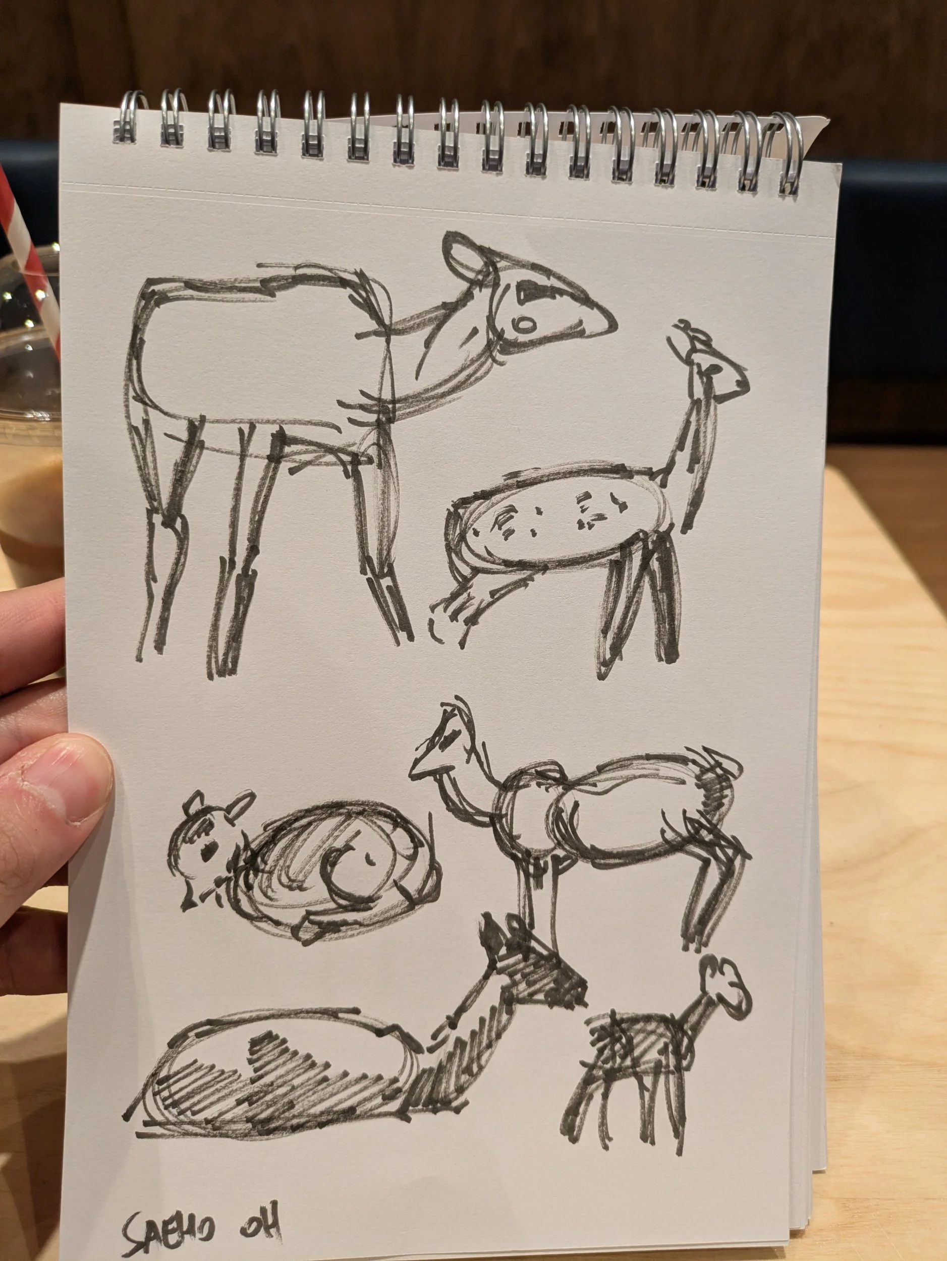 Quick sketches in café 05-April-2026