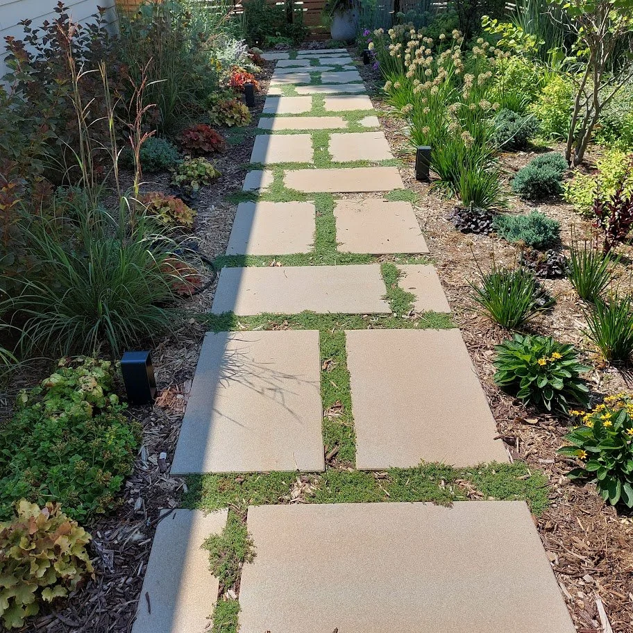 pathscape 2 months after building & planting.jpg