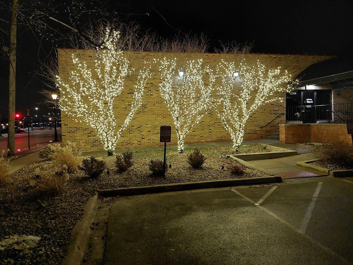 primal cut lights.jpg