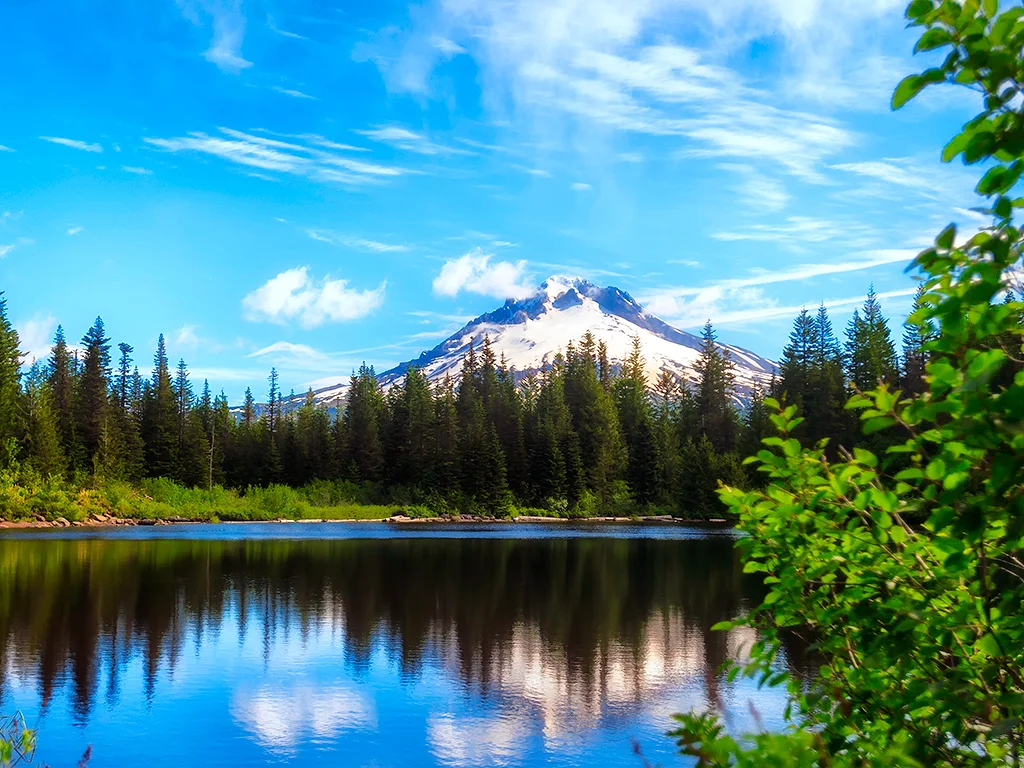 (201) Innercise -  EFD 201 Workshop 