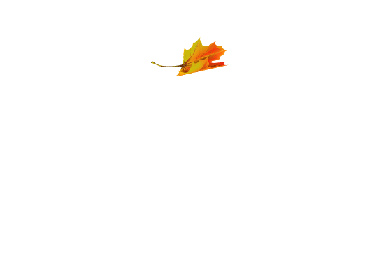 leaves3.gif