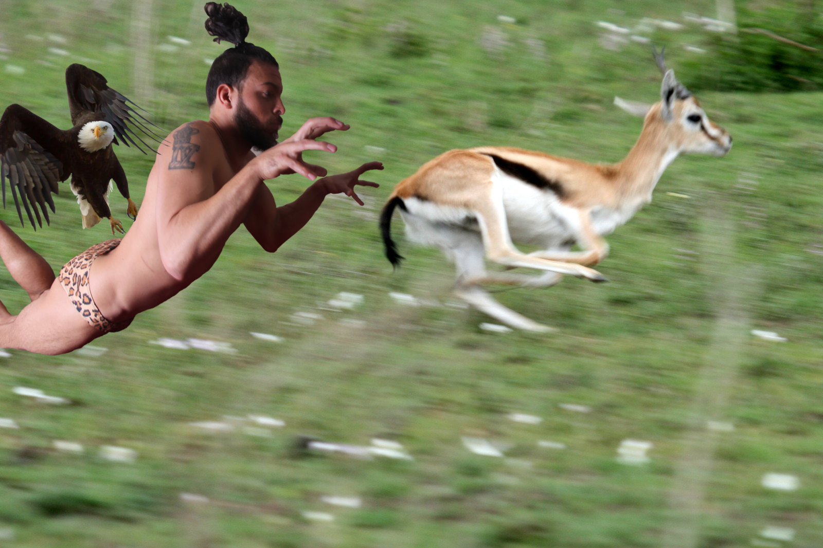 pounceattack.jpg