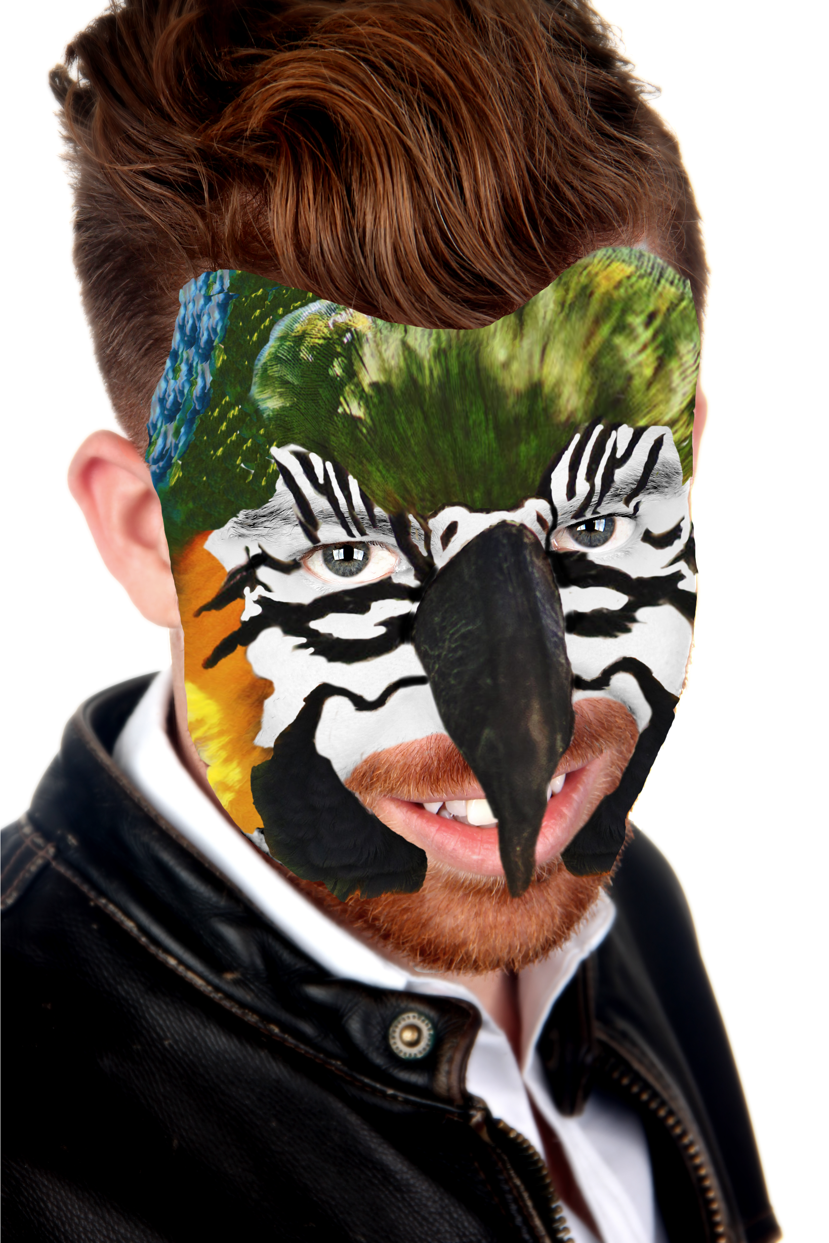 FINALPARROT3.png