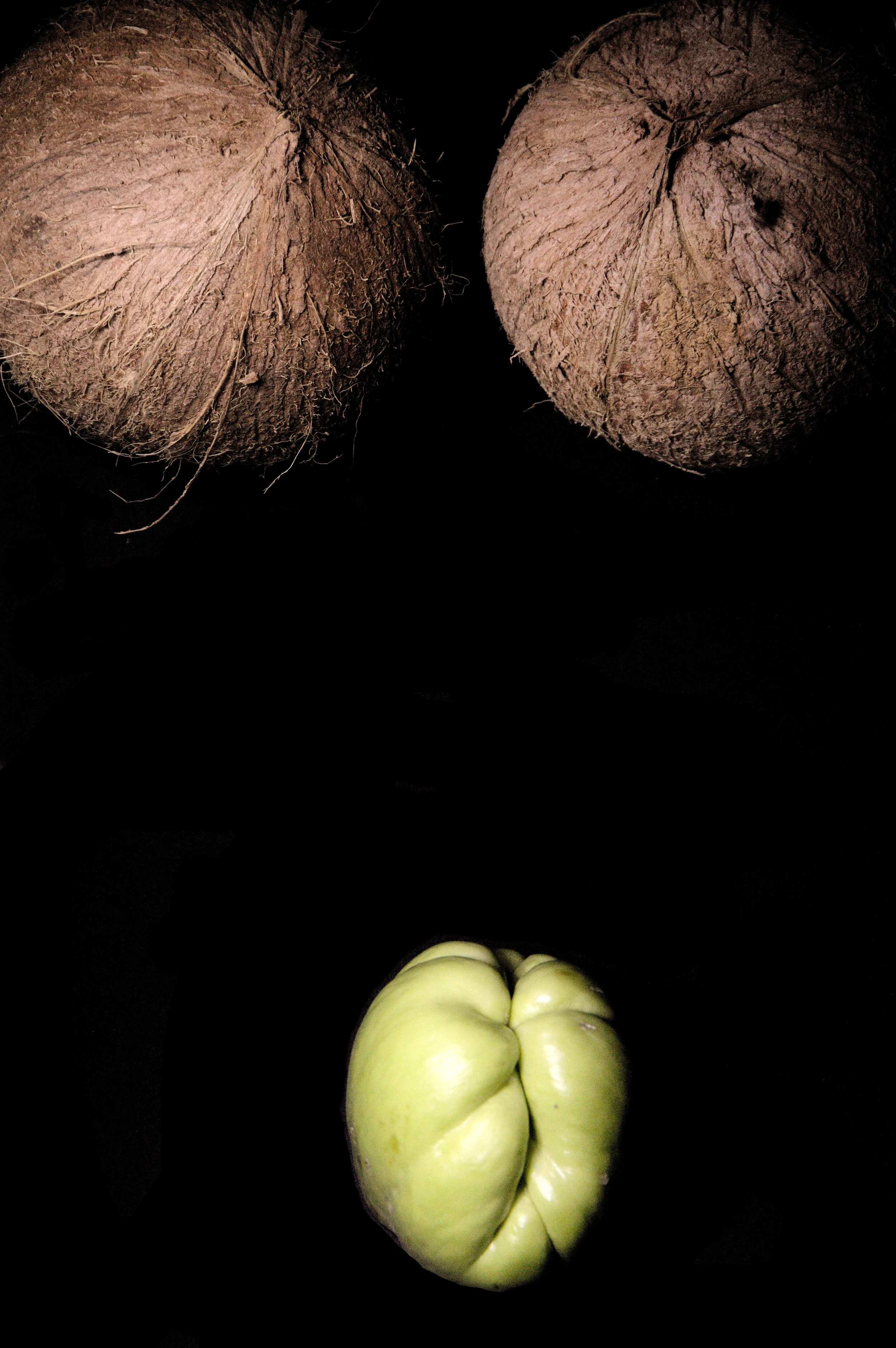 Coconuts and a Coyote Squash Cunt.jpg