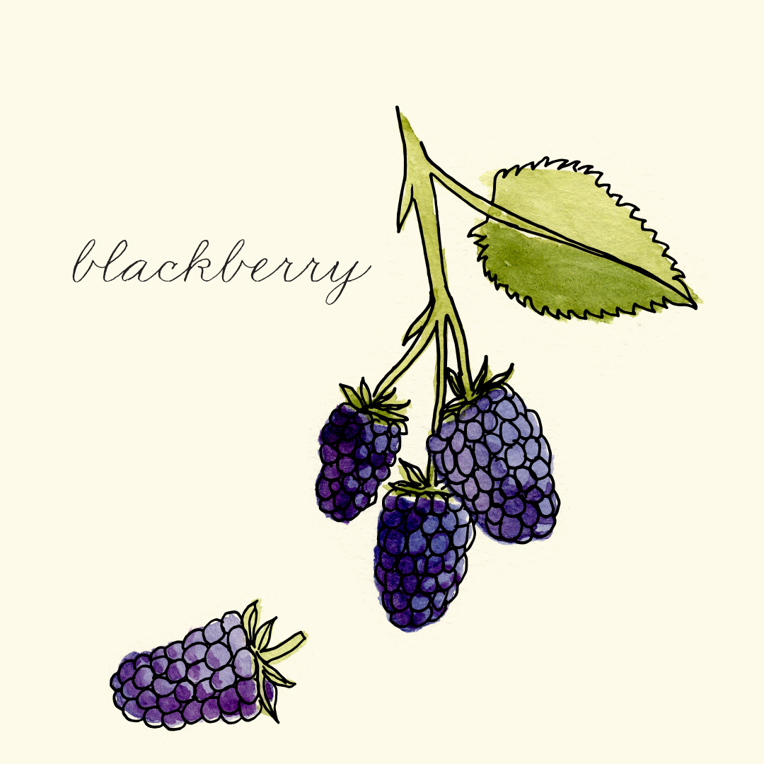 blackberry.png