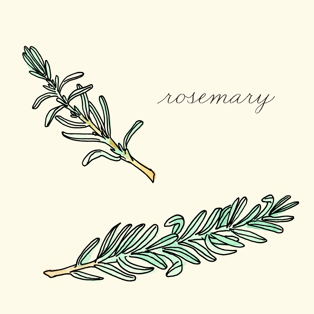 rosemary.png