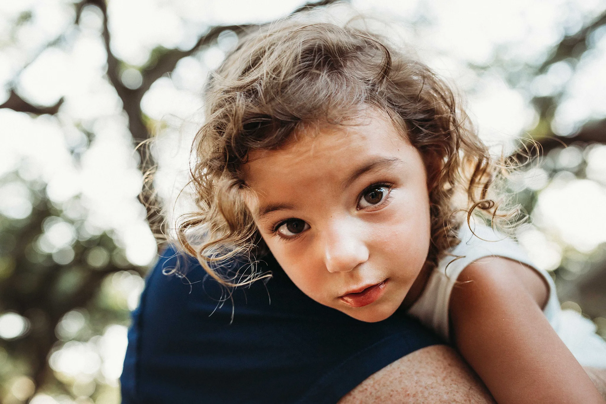 Tampa Family Photographer_Schippert 15.jpg