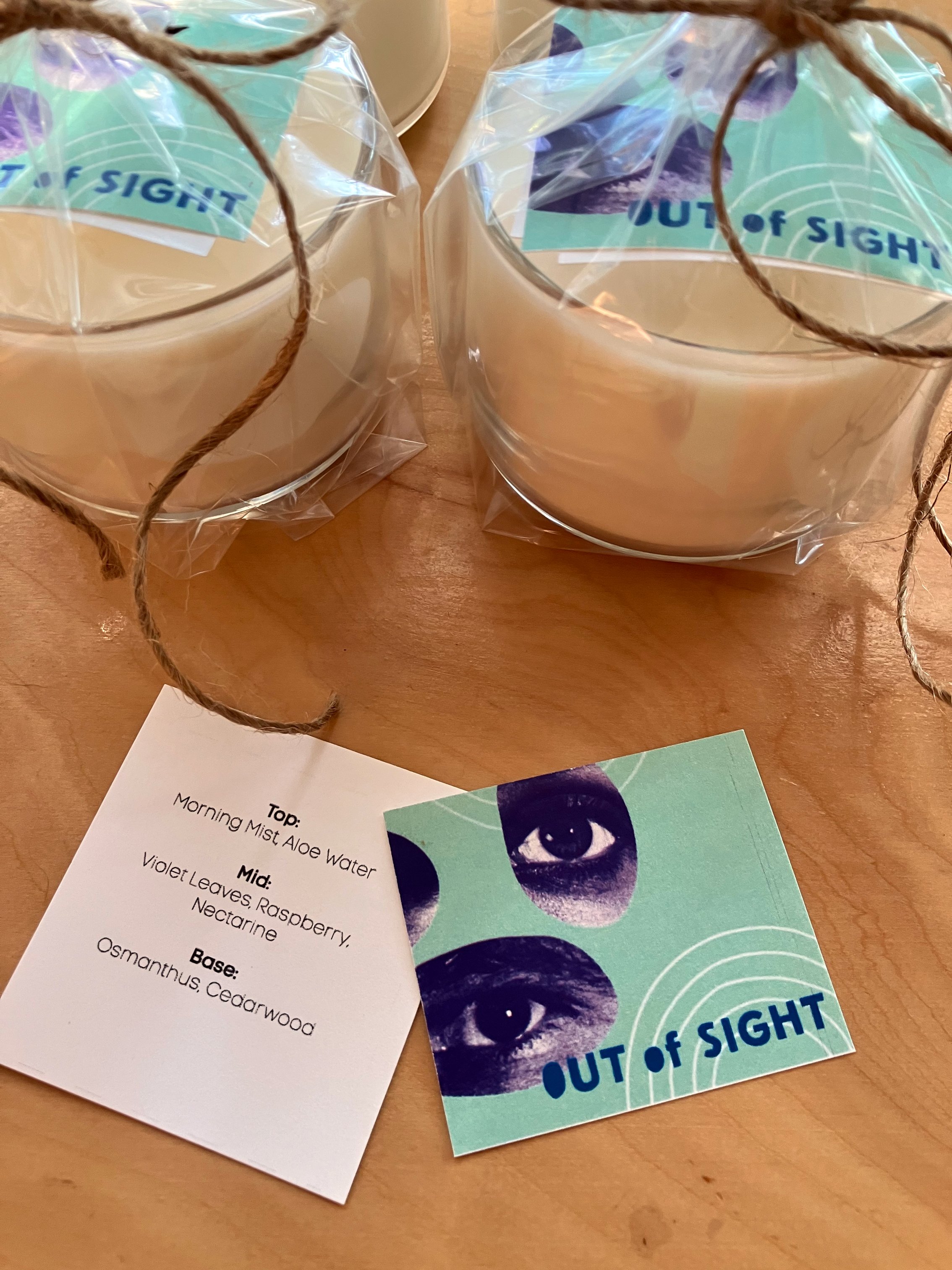 Out of Sight : a survey of contemporary art in the pnw Exhibition gifts Bumbershoot Seattle, WA