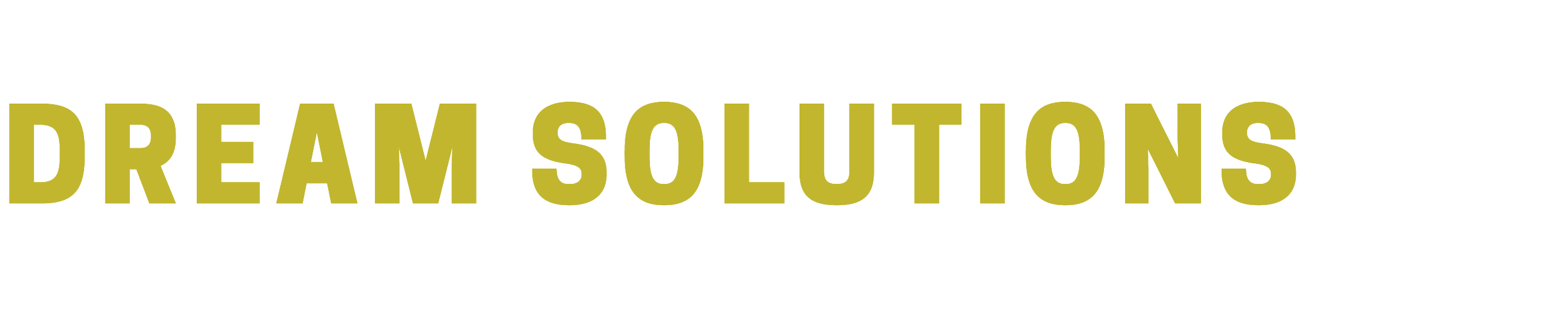   CLIENT :  Dream Solutions/Roya Amirsoleymani  I’ve recently had the great pleasure of working with Roya on a website refresh (in progress).   Roya Amirsoleymani is an independent curator, writer, producer, and project manager in contemporary art an