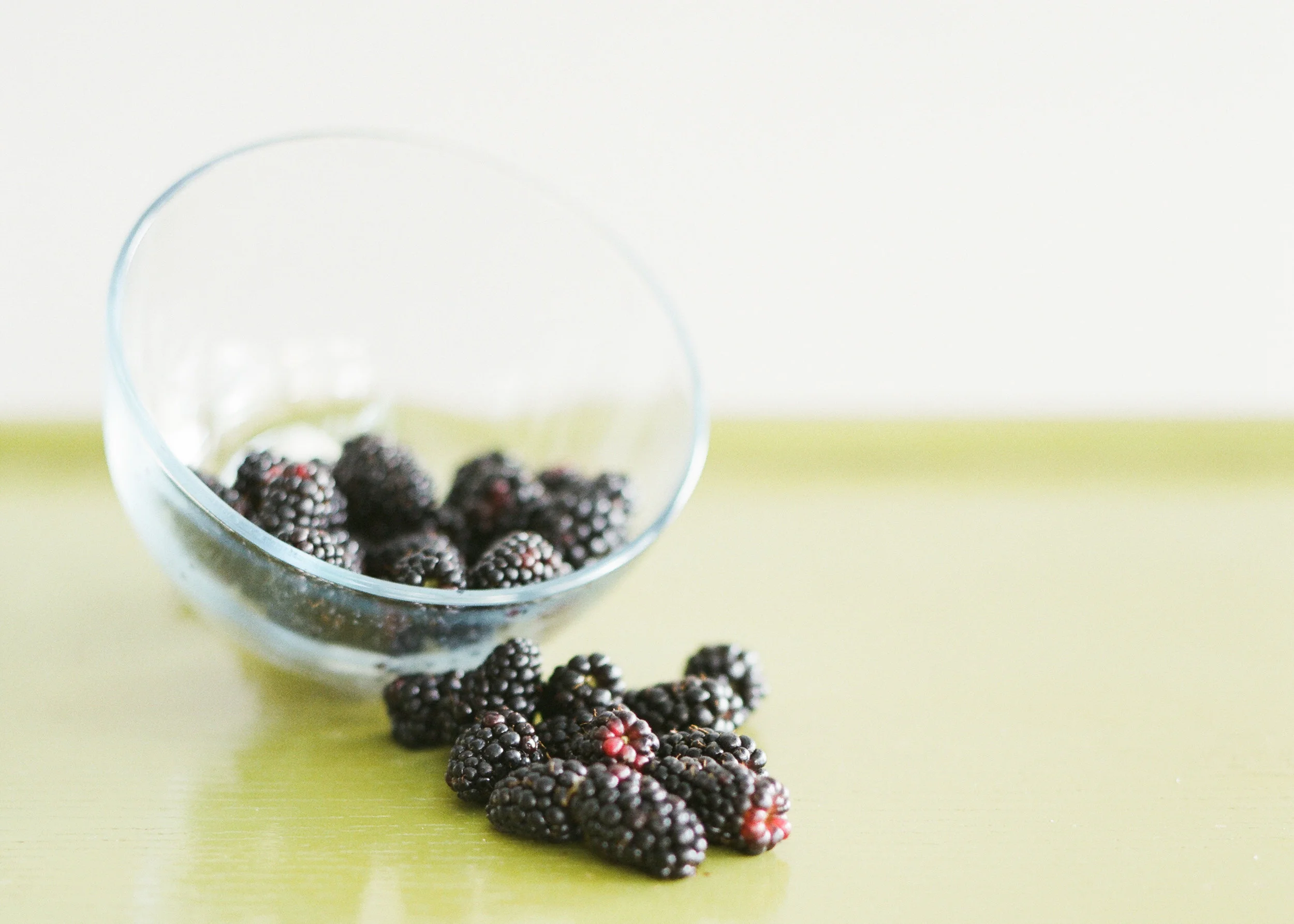 MDNutrition-158.jpg