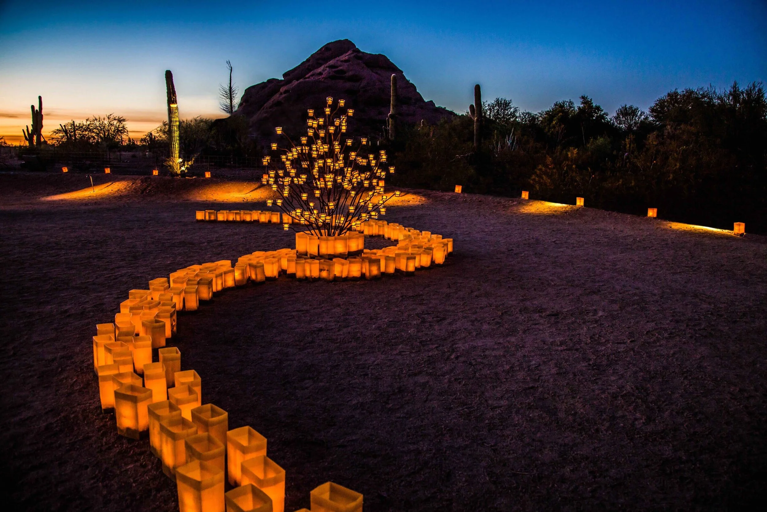 Las Noches de Las Luminarias