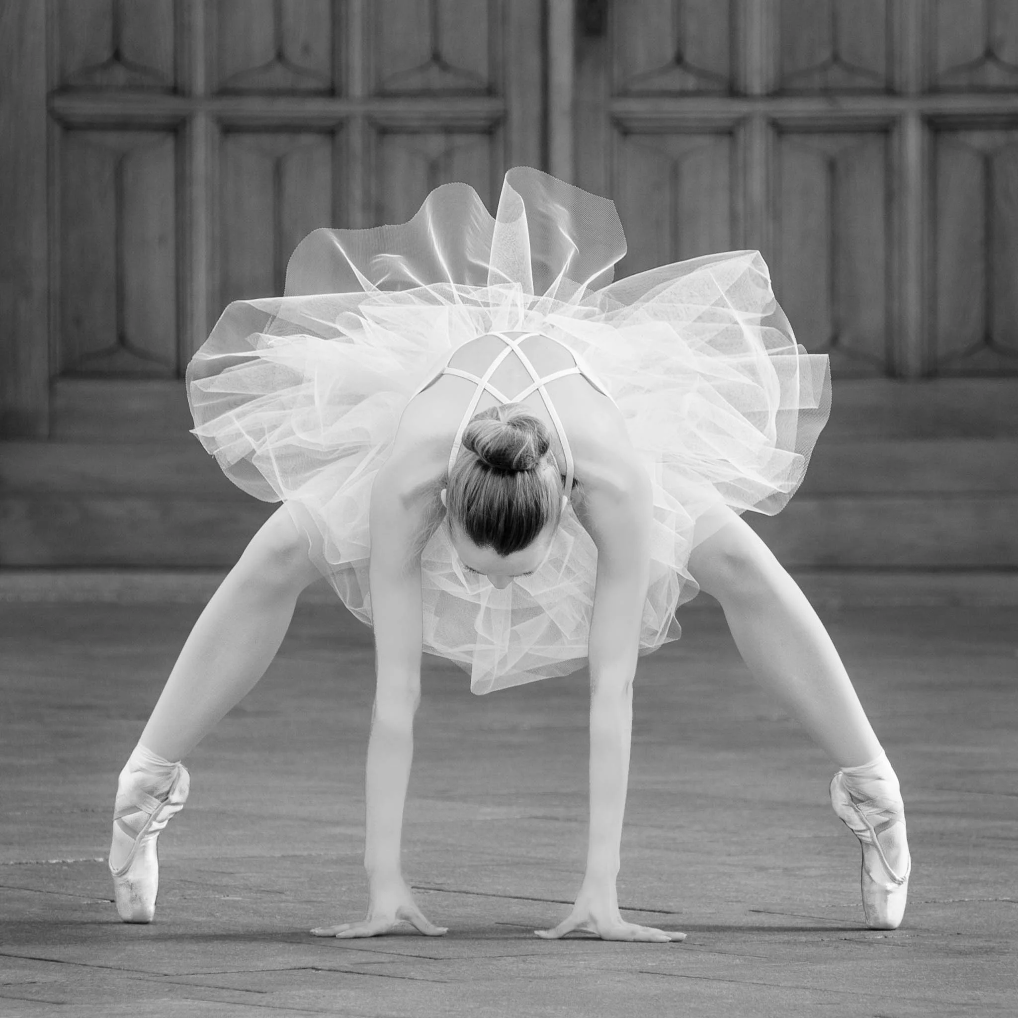 Anne Greve