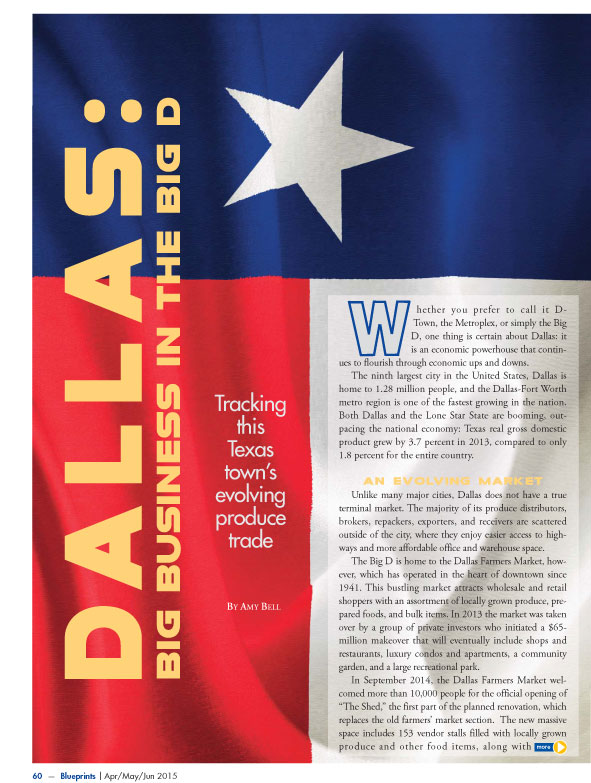 Copywriter-Dallas-Perspectives-Magazine1-WritePunch.jpg