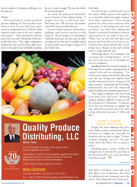 Copywriter-Dallas-Perspectives-Magazine3-WritePunch.jpg
