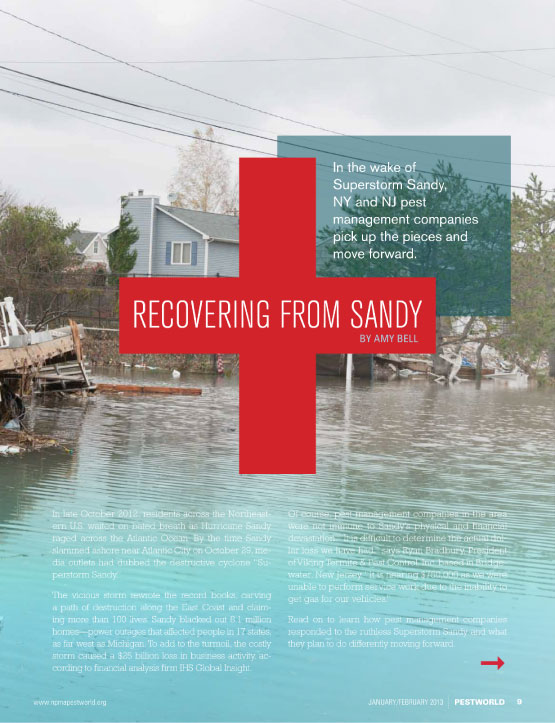 Copywriter-Hurricane-Sandy-PestWorld-Magazine1-WritePunch.jpg