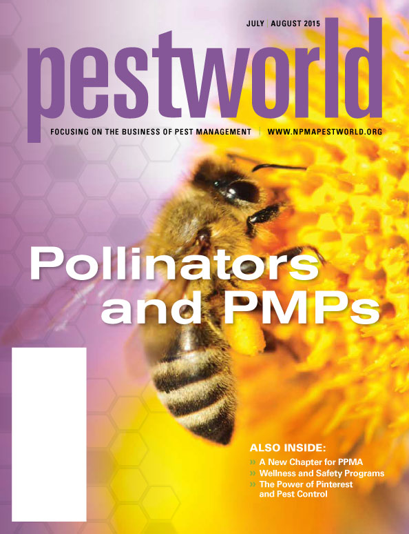 Bees_pg1.jpg