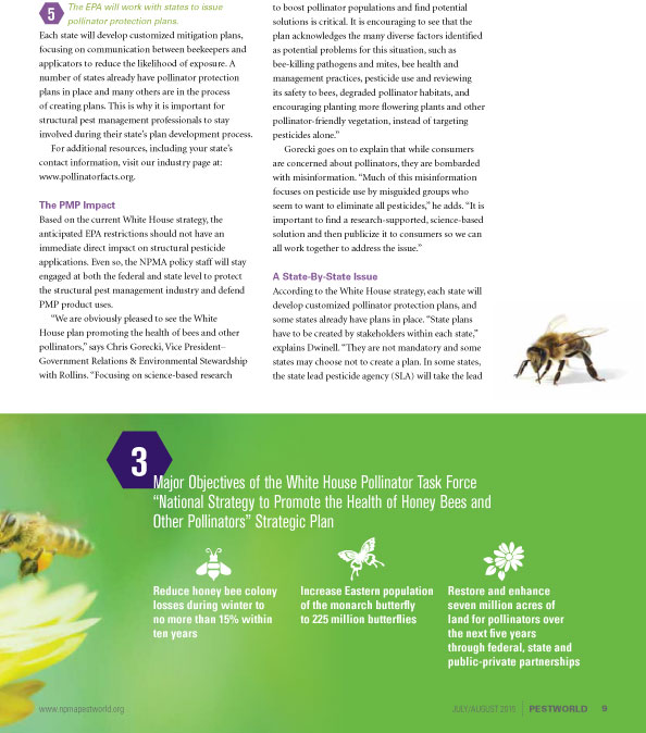Bees_pg7.jpg