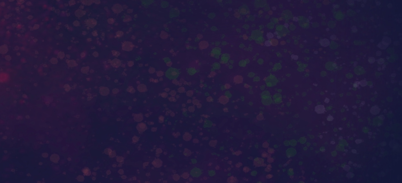 Screen Shot 2021-11-19 at 8.56.47 PM.png