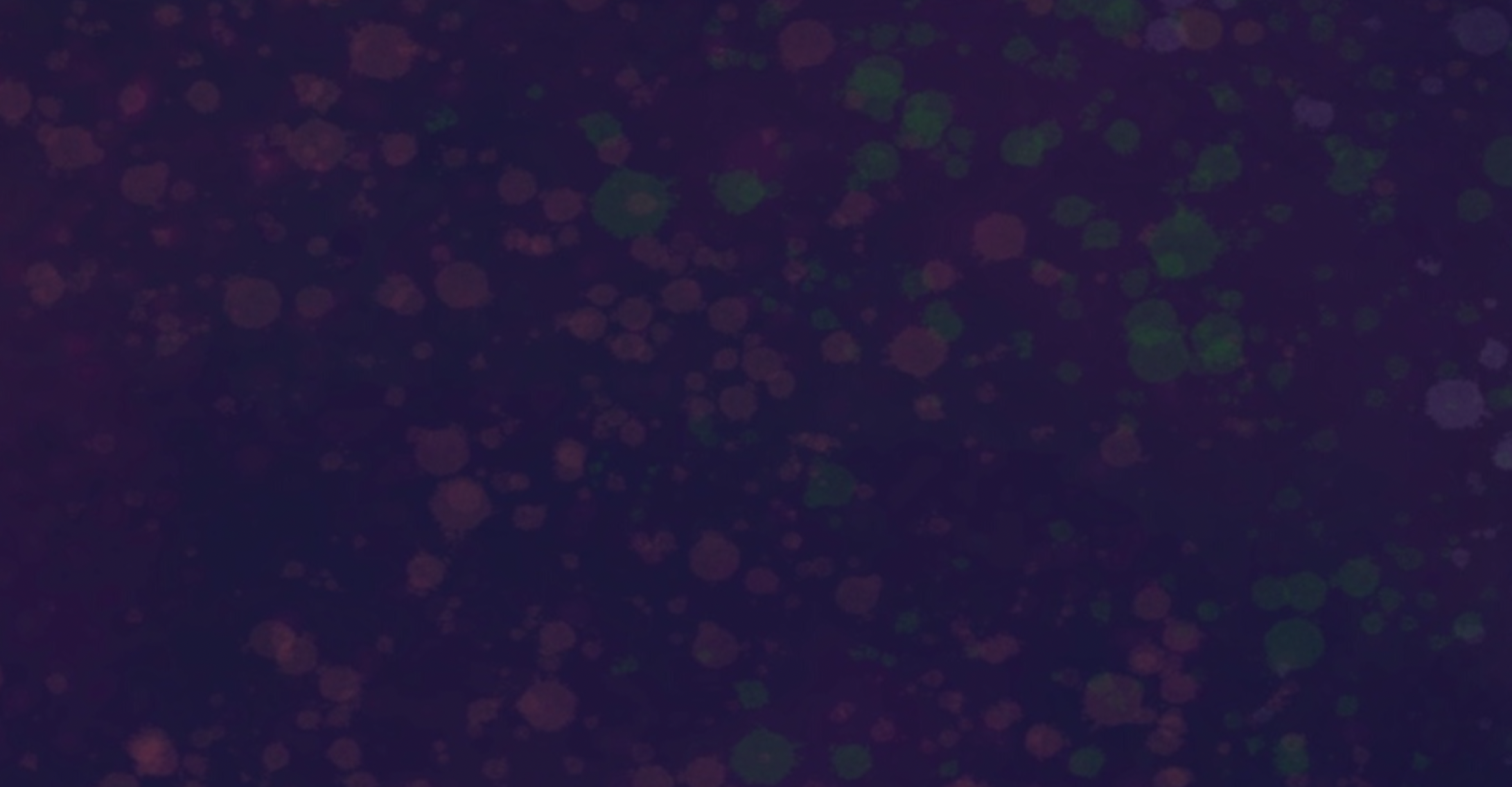 Screen Shot 2022-09-28 at 1.26.42 PM.png