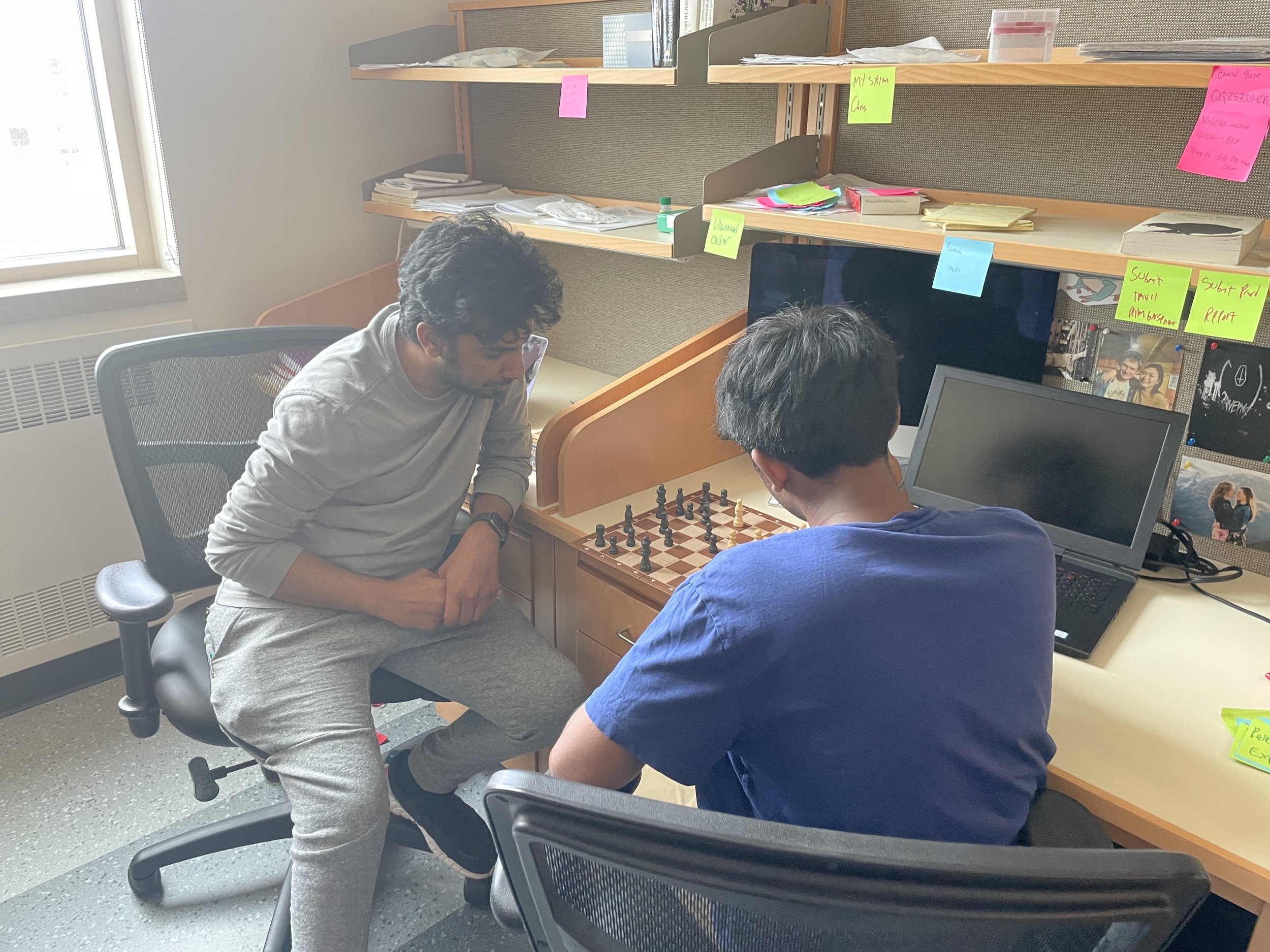 Chess in the lab