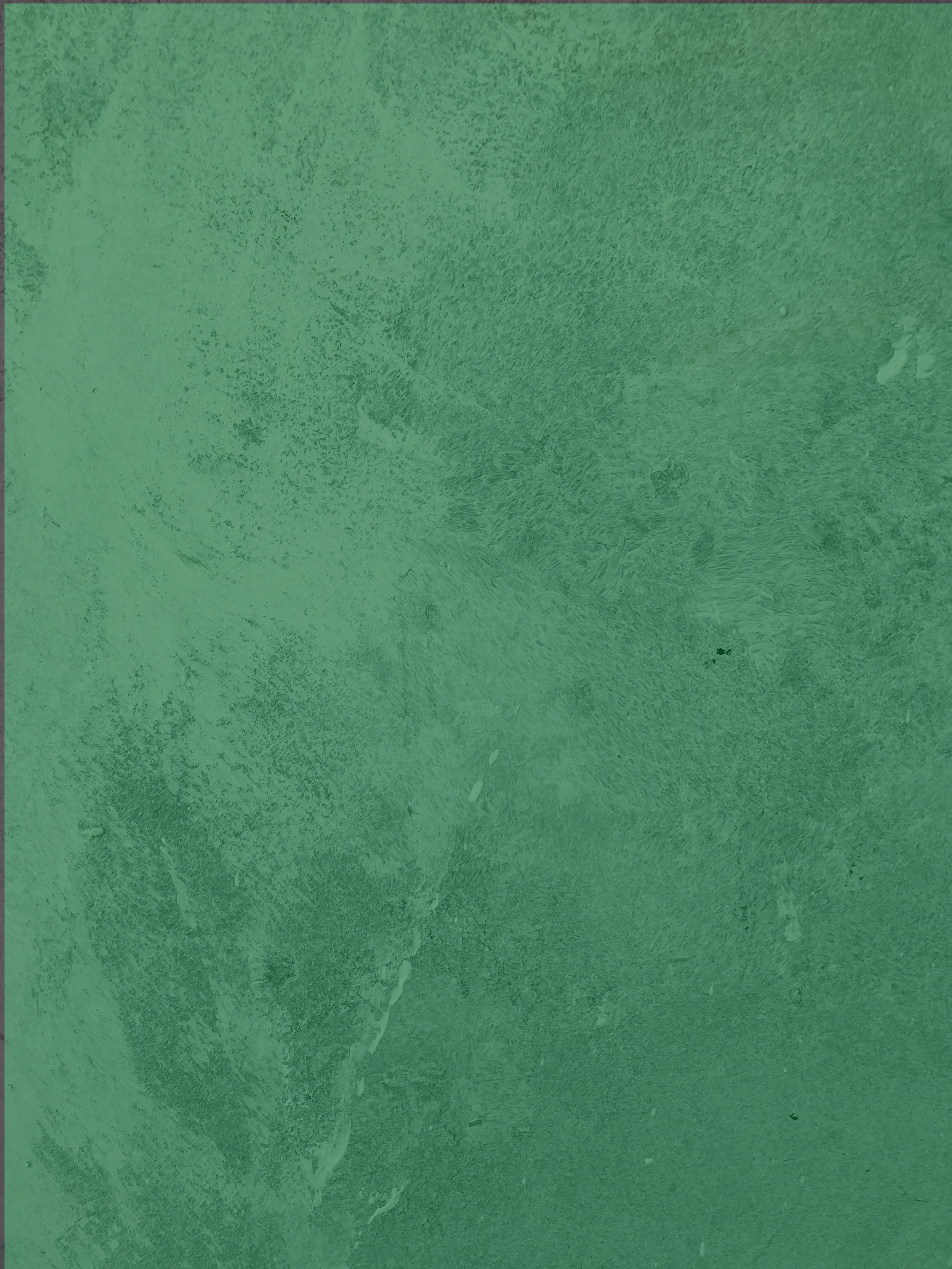  MAY 22–JUN 7   THE HOUSE OF BERNARDA ALBA    MORE INFO  