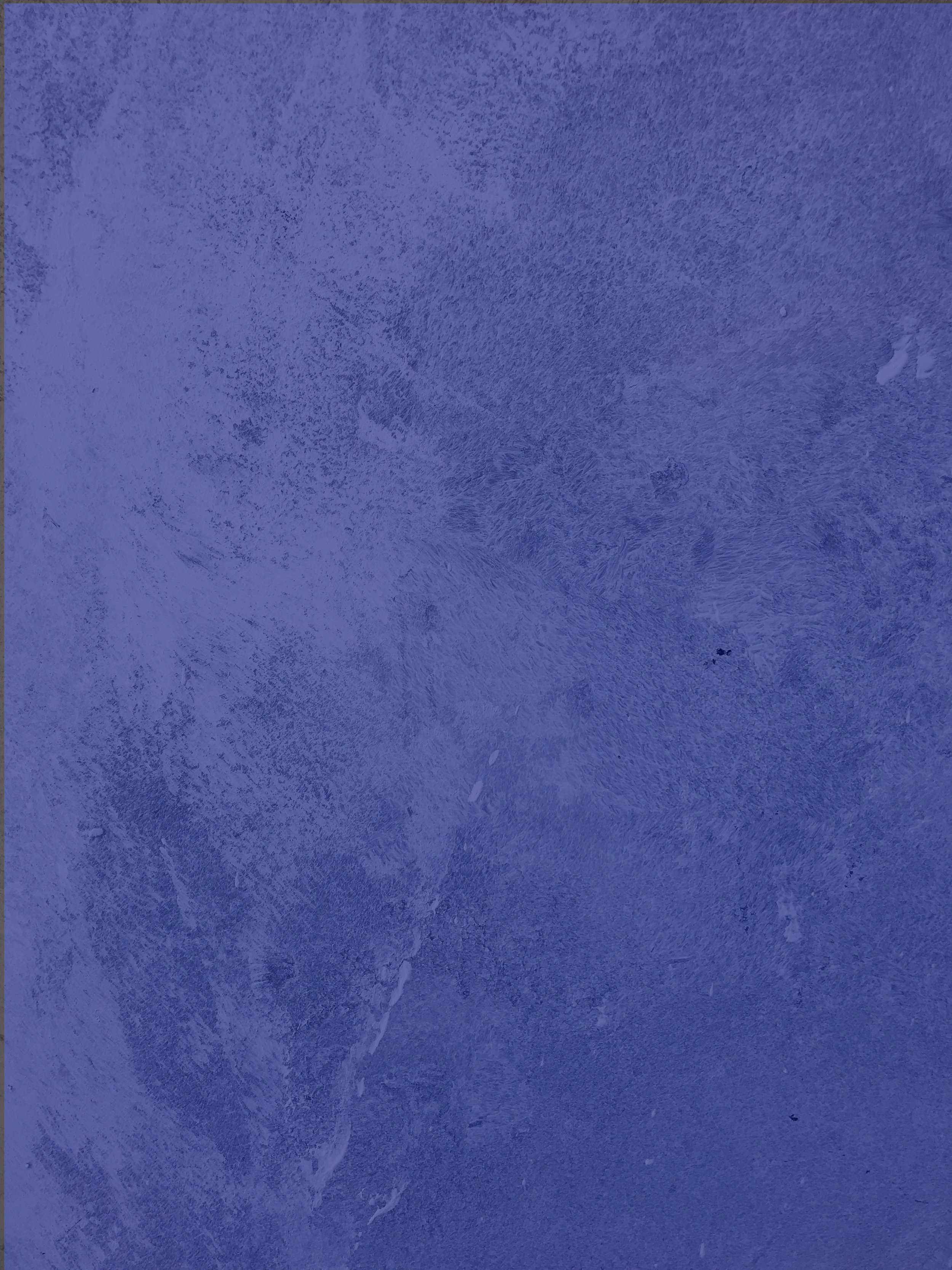  AUG 7–23   ORPHEUS DESCENDING    MORE INFO  