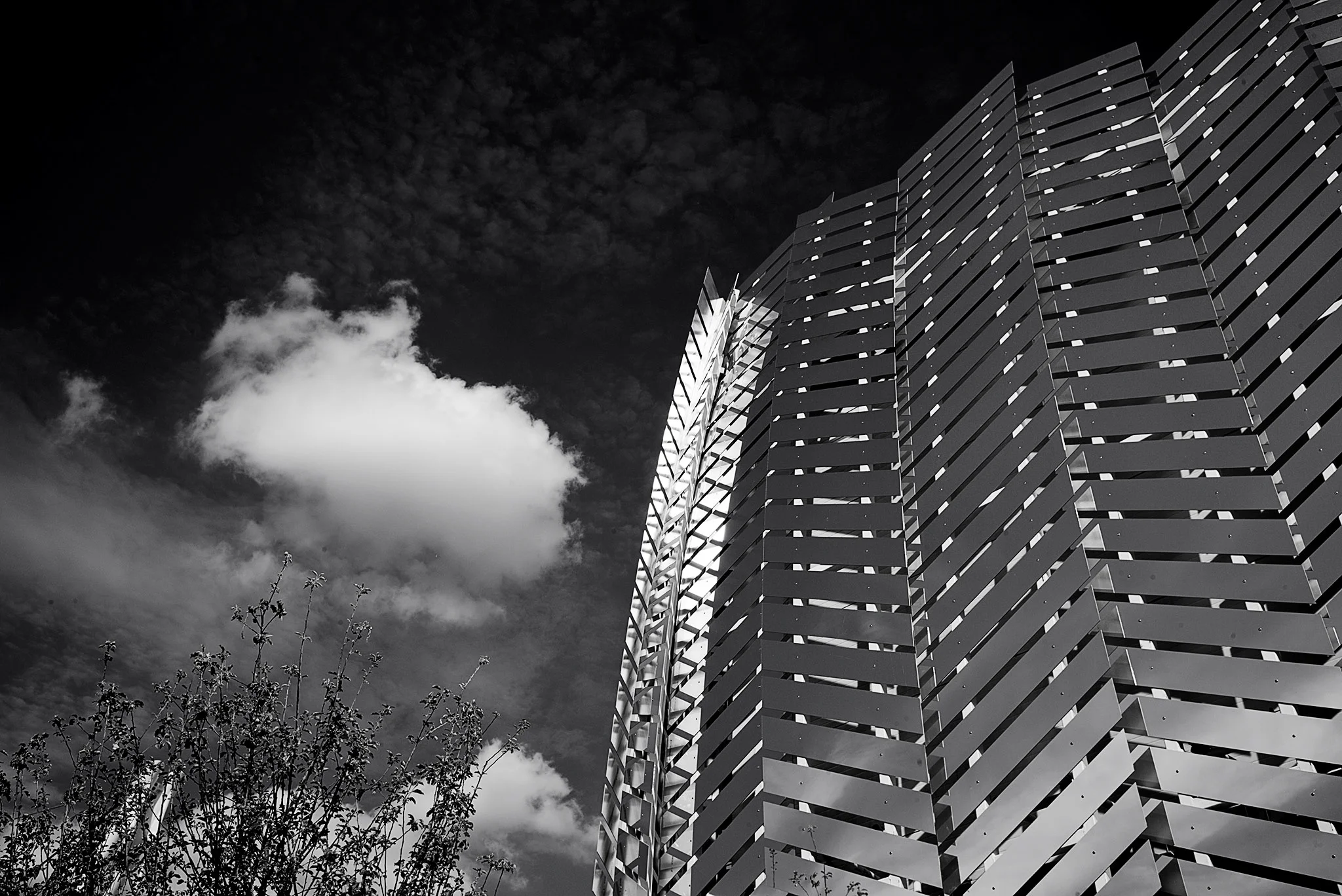 L1009387.jpg