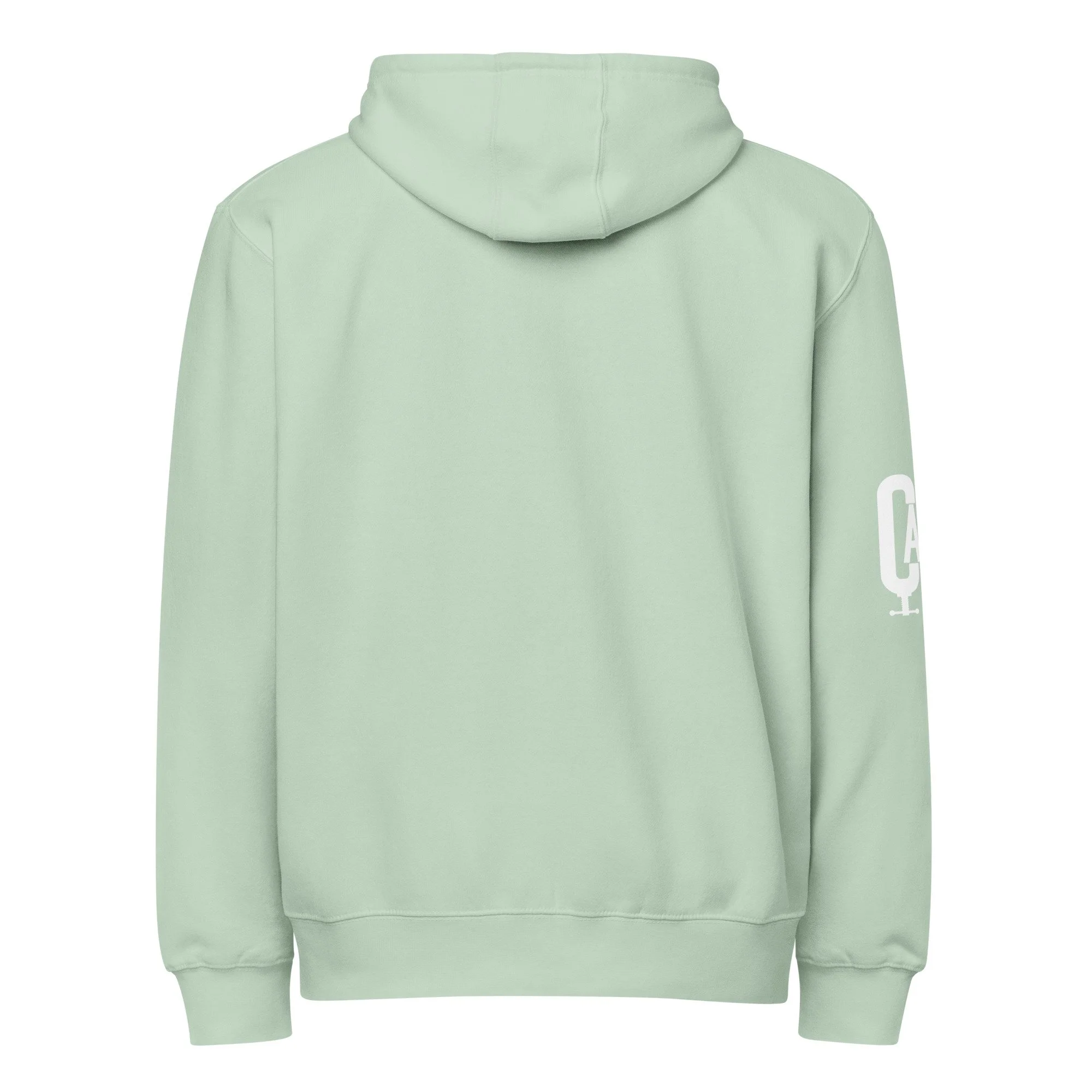 lane-seven-ls14003-i-premium-full-zip-hoodie-seafoam-back-69631b415edf7.jpg