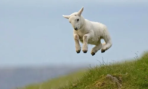 Make the Most of Leap Day