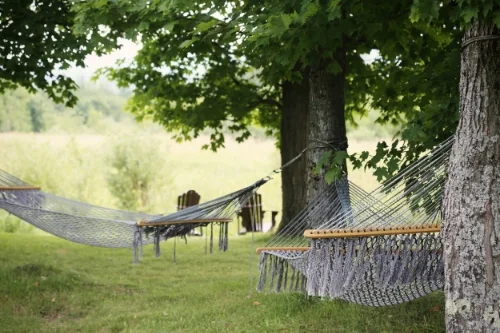 Vacation - Is it a nicety or a necessity?
