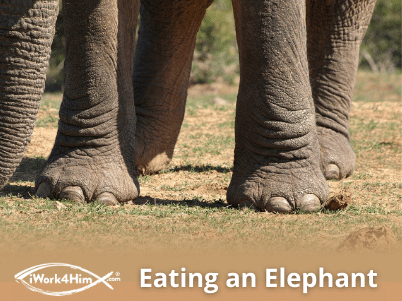 Eating an Elephant