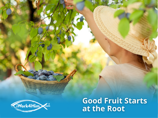 Good Fruit Starts at the Root